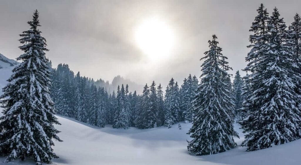 Winter Solstice -  December Global Holidays